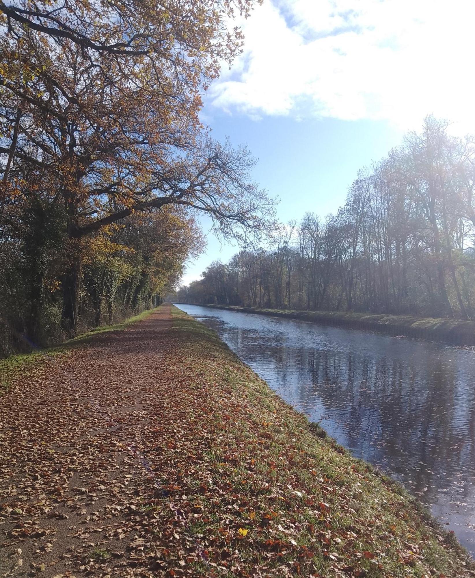 La Halte Du Canal Luthenay-Uxeloup エクステリア 写真